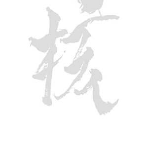 51z2ud4i6xl. ac sy355 