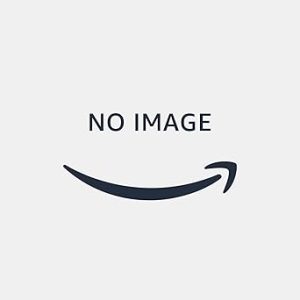 41vrq1rmwgl. ac sx342