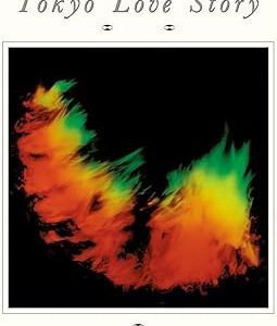 51dsefih vl. ac sy355 