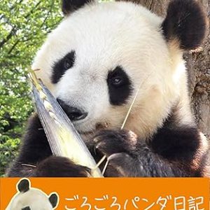 81g1nui 4bl. ac sy445 