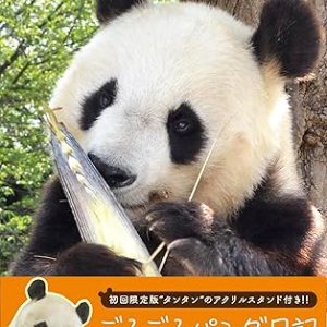 81c32klb pl. ac sy445 